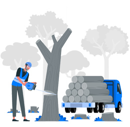 tree removal service Charlotte